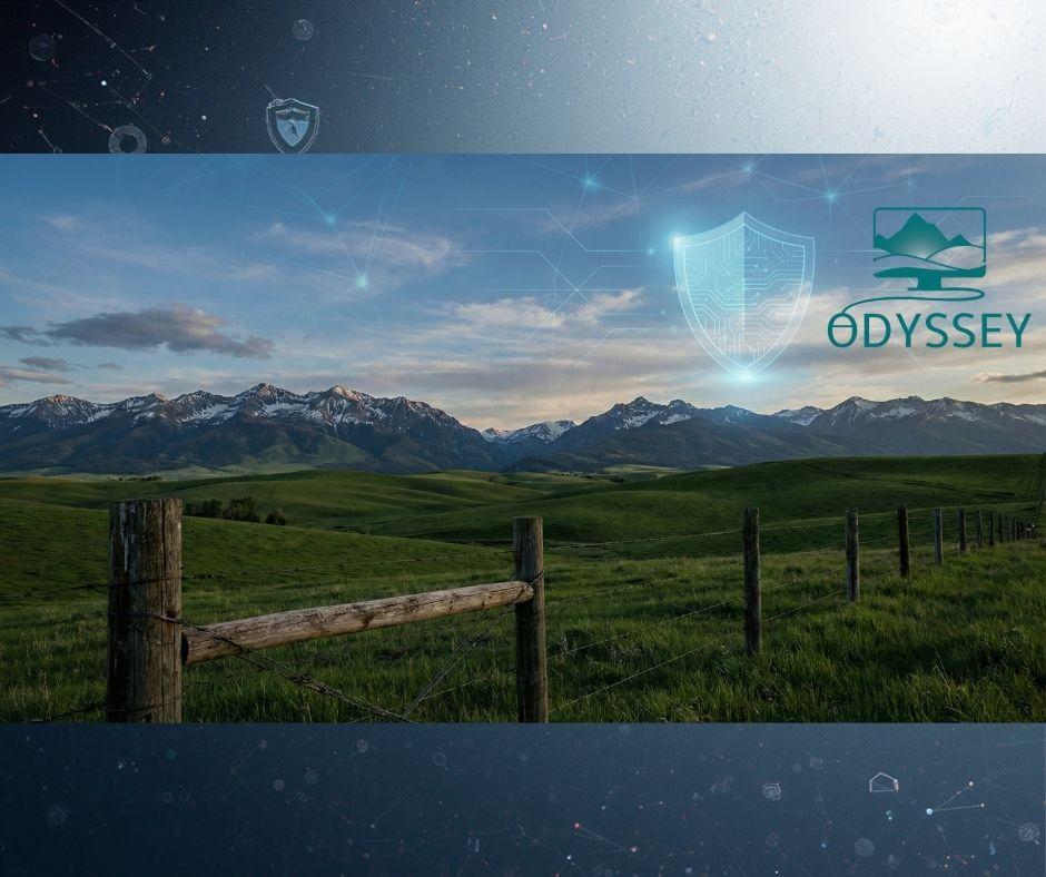 We build a digital fortress for your brand.